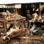 Mercato con feticcio vodun in Togo [Dominik Schwarz]