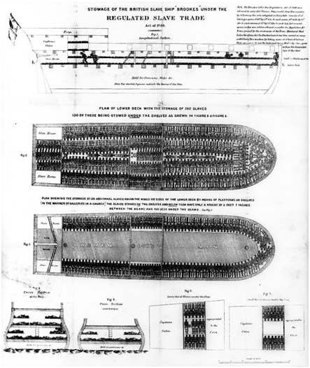 Ponti e sezione della nave inglese Brookes adibita al trasporto di schiavi (1788)