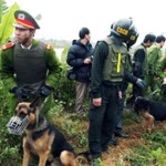 Rastrellamento della polizia contro i Montagnard