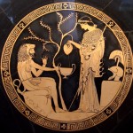Eracle, Athena e l'olivo sacro