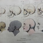 Rappresentazione dell'angolo facciale di Camper